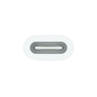 Apple Pencil Lightning adapter