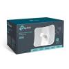 TP-LINK Wireless Access Point 300Mbps 5Ghz KÜLTÉRI CPE CPE610