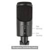 Ewent EW3552 Multimedia Microphone with noise cancelling Black EW3552