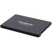 Gigabyte SSD 1TB GP-GSTFS31100TNTD