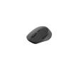Rapoo M300 Silent Multi-mode Wireless mouse Dark Grey 184341