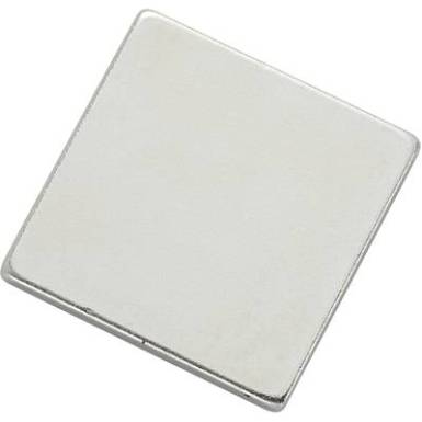 Mágneslap TRU COMPONENTS N35-202002 Ezüst (H x Sz) 20 mm x 20 mm Tartalom: 1 db Mágneslap TRU COMPONENTS N35-202002 Ezüst (H x Sz) 20 mm x 20 mm Tartalom: 1 db