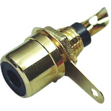 RCA aljzat, előlapba építhető, arany, Tru Components RCA aljzat, előlapba építhető, arany, Tru Components
