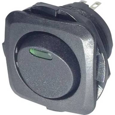 Billenőkapcsoló R13-135L-02 GN, Tru Componets Billenőkapcsoló R13-135L-02 GN, Tru Componets