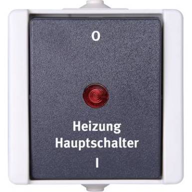 Kopp 1 db Fűtés vészkapcsoló Szürke 541356004 Kopp 1 db Fűtés vészkapcsoló Szürke 541356004
