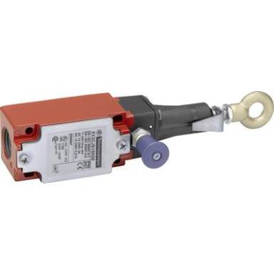 Csörlőkapcsoló Nyomó Schneider Electric XY2CJS19H29 IP67 1 db Csörlőkapcsoló Nyomó Schneider Electric XY2CJS19H29 IP67 1 db