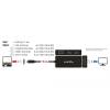DeLock USB Type-C male > VGA/HDMI/DVI/DisplayPort female adapter Black 63929
