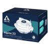 Arctic Alpine 23 ACALP00035A