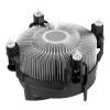 Arctic Alpine 17 ACALP00040A