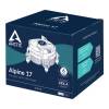 Arctic Alpine 17 ACALP00040A