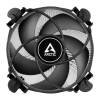 Arctic Alpine 17 CO ACALP00041A