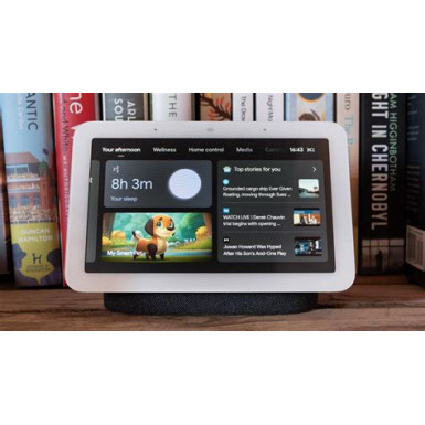 Google Nest HUB 2