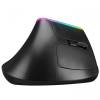 Everest SMW-618 RGB Ergonomic Vertical wireless egér PEREVESMW-618