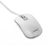 Gembird MUS-4B-06-WS Optical mouse White/Silver MUS-4B-06-WS