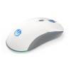Endorfy Gem Plus Wireless OWH PAW3395 gamer egér EY6A015