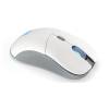 Endorfy Gem Plus Wireless OWH PAW3395 gamer egér EY6A015