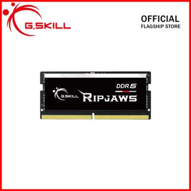 G.SKILL 16GB DDR5 4800MHz Ripjaws SODIMM F5-4800S3838A16GX1-RS
