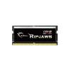 G.SKILL 32GB DDR5 4800MHz Ripjaws SODIMM F5-4800S4039A32GX1-RS